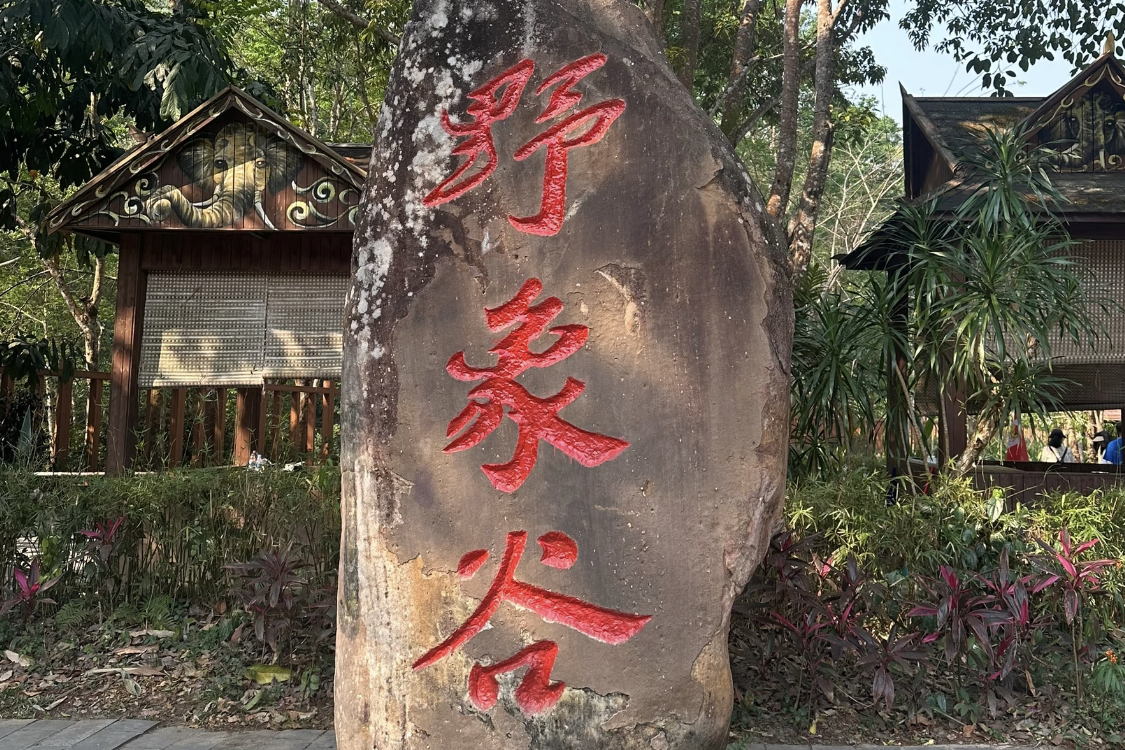 Wild Elephant Valley